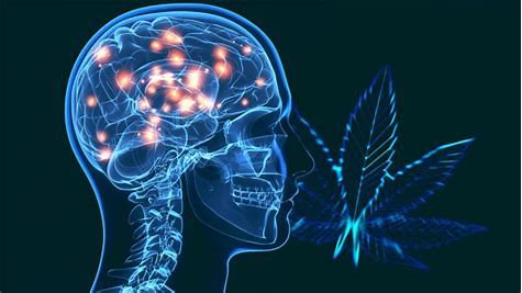 CBD y Parkinson